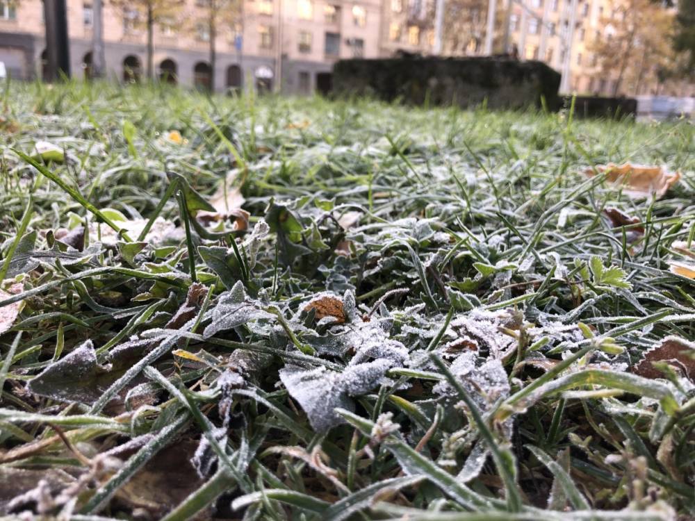 Рабочая неделя в Петербурге начнется со снега