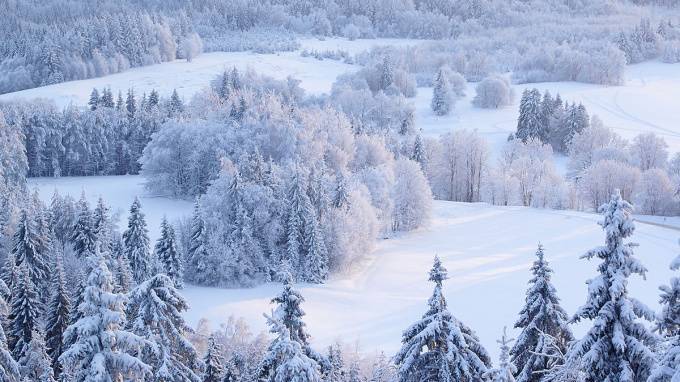 Синоптики: зима в Петербурге будет короче обычного