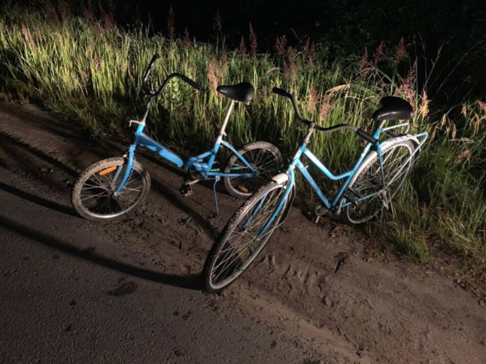Полиция Псковской области нашла двух похитителей велосипедов