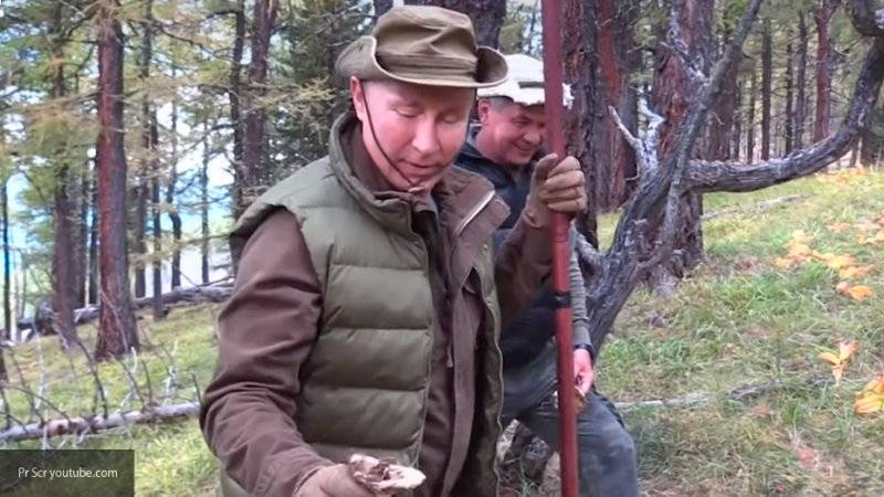 Путин и Шойгу сходили за грибами в тайге