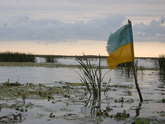Украинские военнослужащие извинились, что «не сдохли» в Донбассе