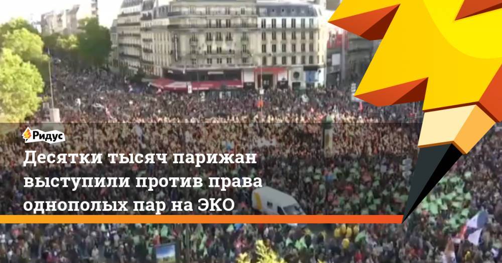 Десятки тысяч парижан выступили против права однополых пар на ЭКО