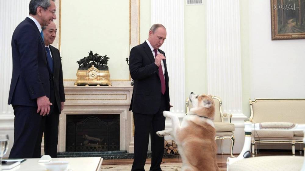 Как Владимир Путин отмечает свой день рождения