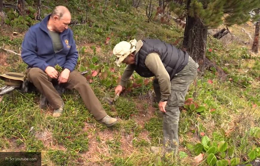 Путин и Шойгу вместе провели досуг в сибирской тайге, отправившись за грибами