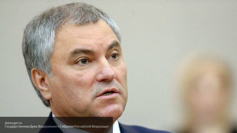 Володин назвал допрос депутата ГД Юмашевой циничной провокацией