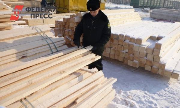 Два иркутских лесоэкспортера скрыли от налогов 228 миллионов рублей