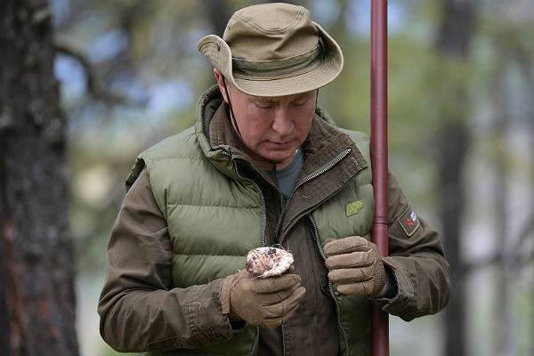 Путин и Шойгу пособирали грибы в тайге