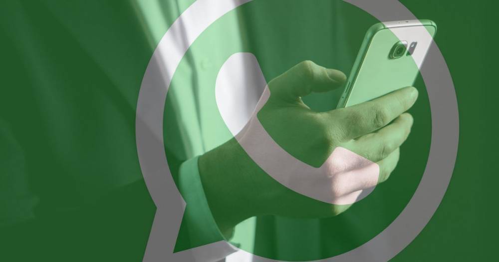 В Амурской области двух женщин оштрафовали за сообщения в WhatsApp