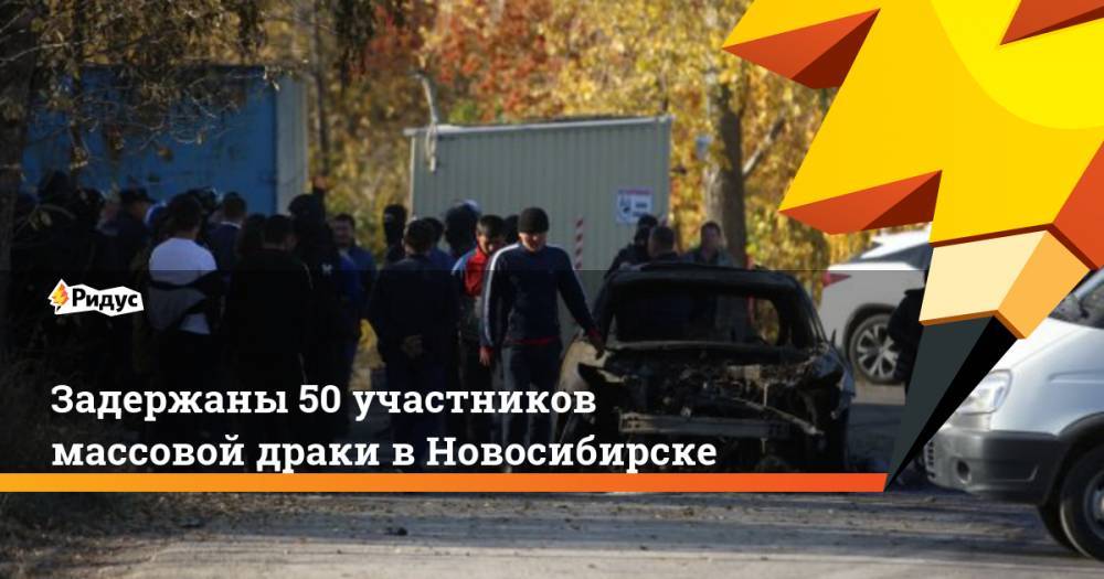Задержаны 50 участников массовой драки в Новосибирске