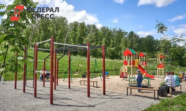 Новосибирская прокуратура потребовала от мэрии установить в Бугринском парке видеосистему