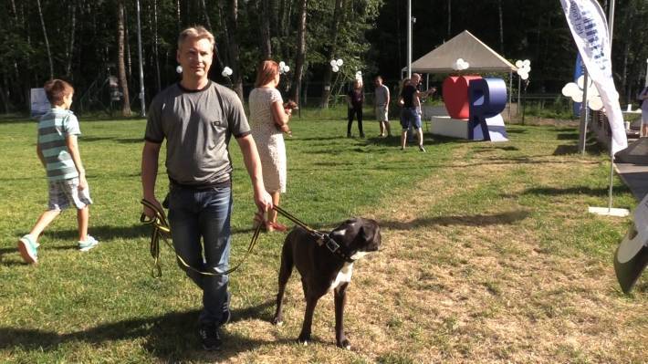 Собачий фитнес в Екатеринбурге набирает популярность