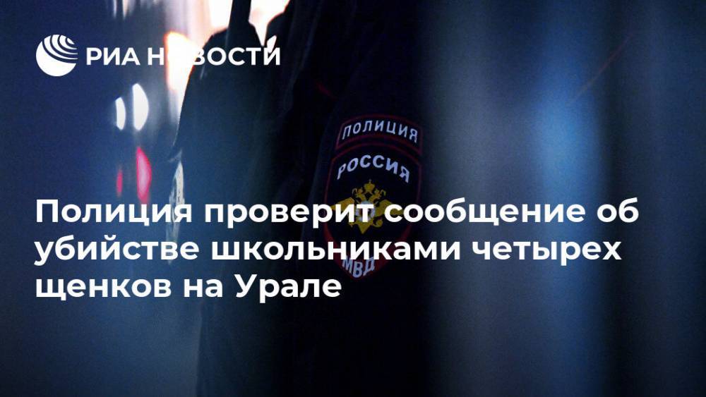 Полиция проверит сообщение об убийстве школьниками четырех щенков на Урале