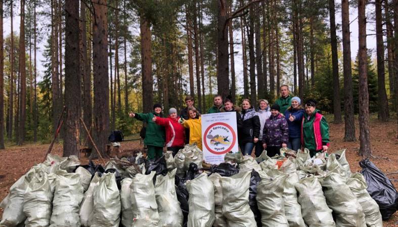 В республике набирает обороты проект «Чистые леса Карелии»