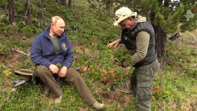 Путин восхитился Енисеем в ходе отдыха в осенней тайге