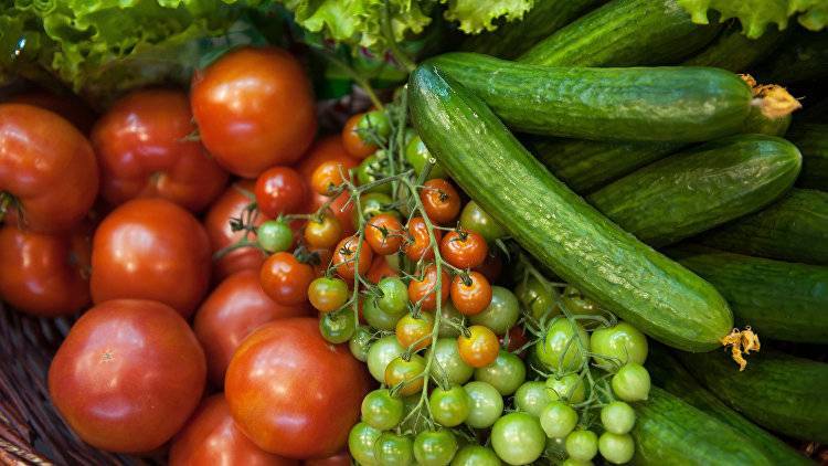 Итоги плодоносного сезона в Крыму: сколько овощей и фруктов собрали аграрии