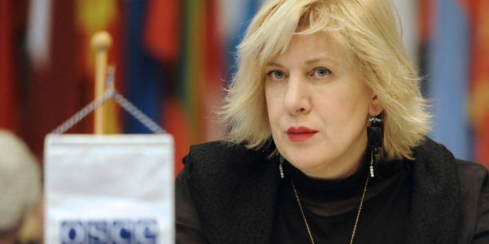 Комиссар Совета Европы собралась посетить Крым