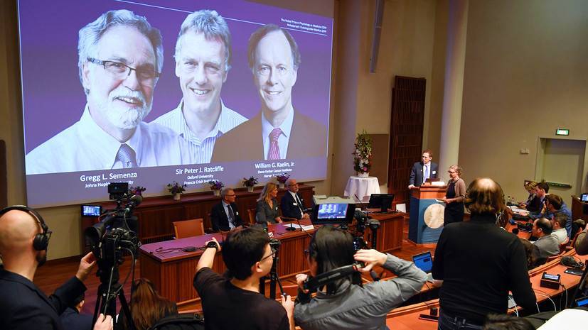 Реакция на кислород: объявлены нобелевские лауреаты 2019 года по медицине