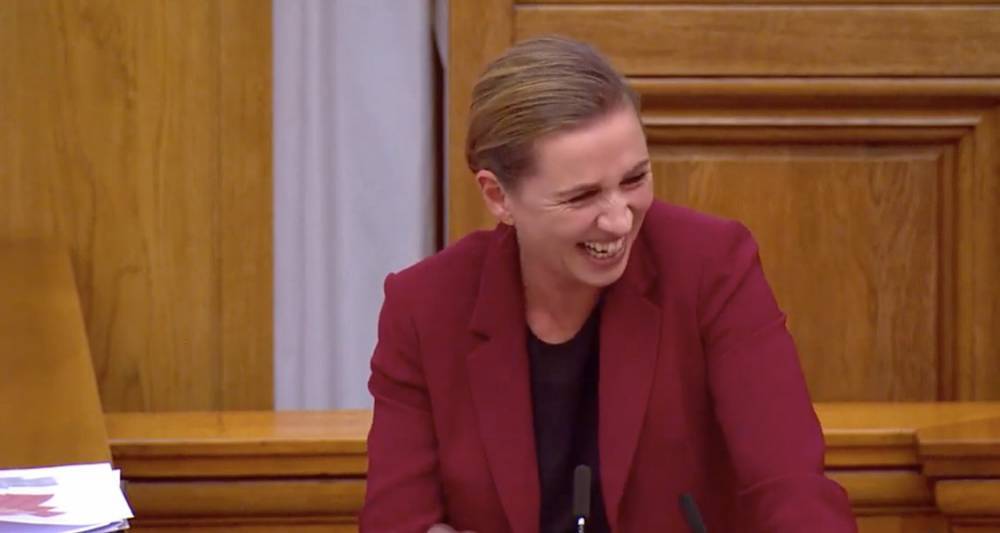 Доклад премьера Дании о верблюде вызвал смех в парламенте