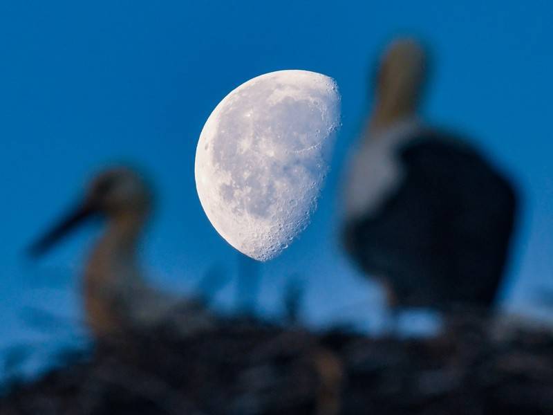 Вид обратной стороны Луны оказался неожиданным для учёных