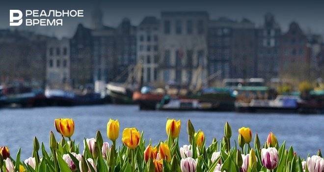 Власти Нидерландов откажутся от названия Голландия ради обновления образа страны