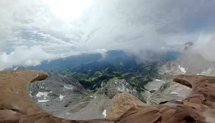 Орел Виктор снял на камеру последствия глобального потепления в Альпах