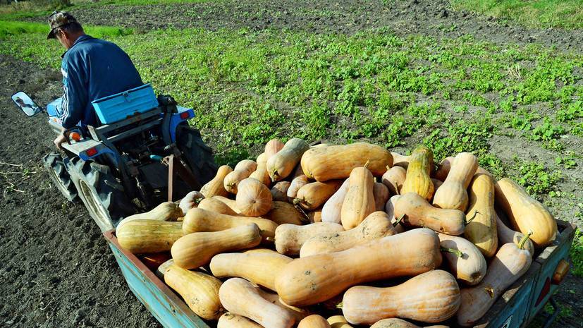 В Калининградской области выделили почти 110 млн рублей для грантов фермерам