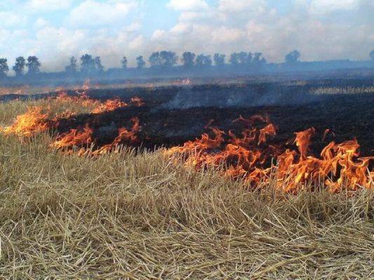 Более тысячи пожаров произошло в Северной Осетии с начала года