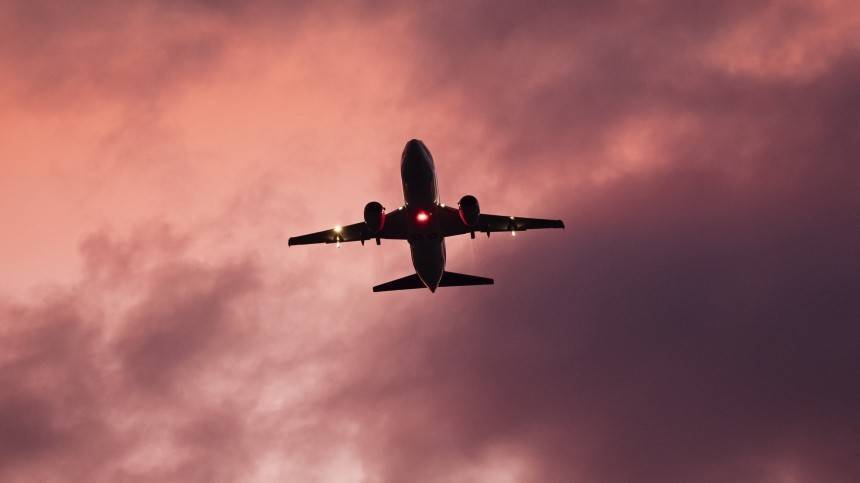 Авиакомпании просят у страны 30 миллиардов на сдерживание цен на билеты