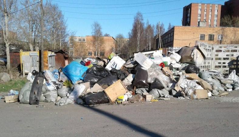 Петрозаводчан призвали не мусорить на контейнерных площадках