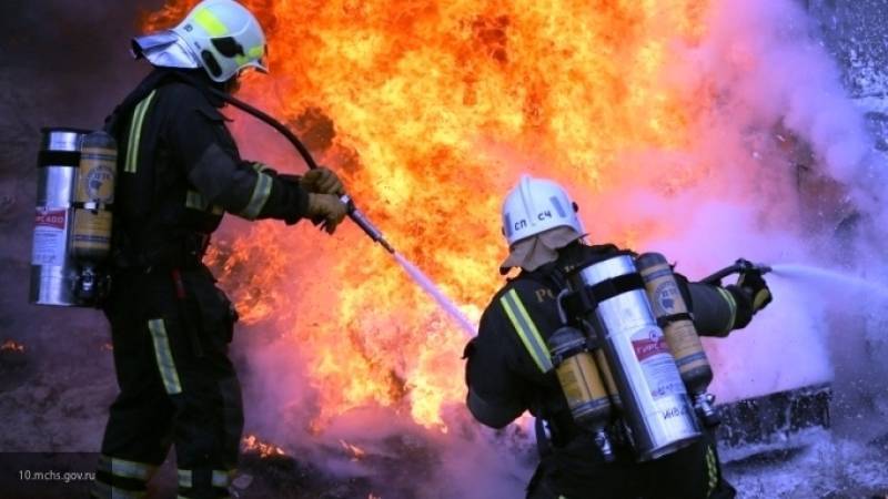 Четверо детей и взрослый сгорели заживо при пожаре в Волоколамске