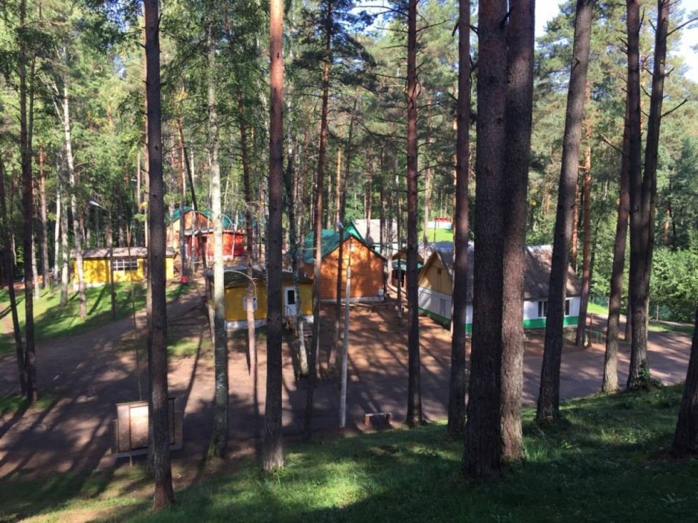 В лагере под Архангельском во время отдыха детей прокладывали кабель и красили здания