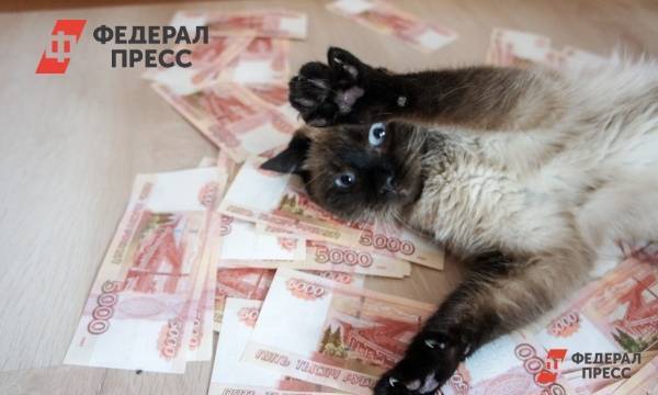 Ульяновск оказался в аутсайдерах рейтинга зарплат