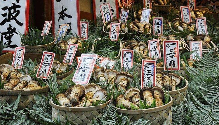 Японские ученые рассказали о роли грибов в профилактике рака