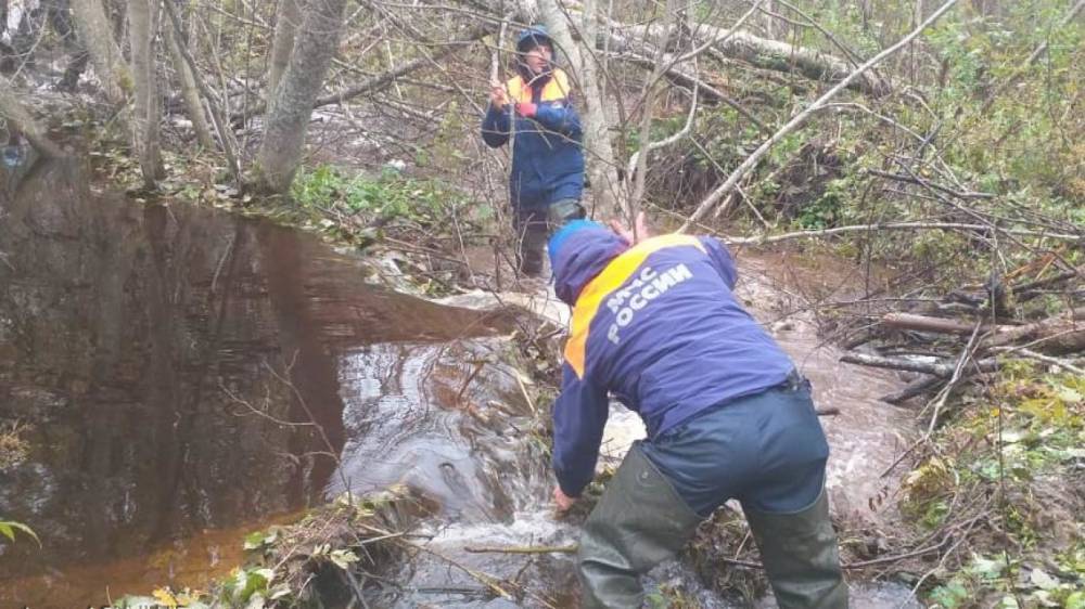 В Вытегорском районе нашли тело пропавшего рыбака