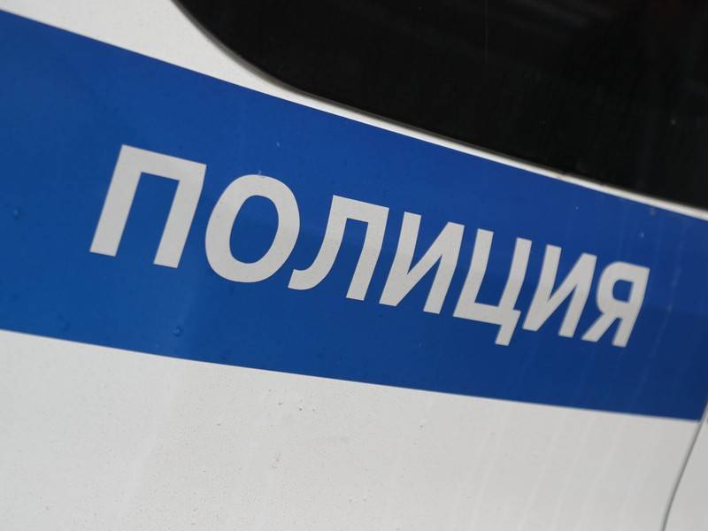 Полиция проверяет информацию об убийстве щенков детьми под Екатеринбургом