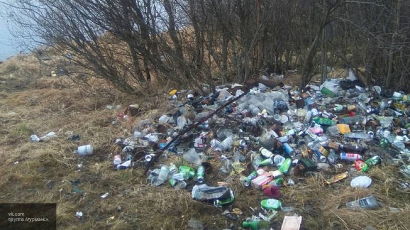 Волонтеры очистили от мусора берега более трех тысяч водоемов России