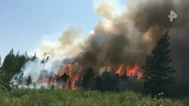 Лесные авиапожарные борются с пожарами с помощью квадрокоптеров