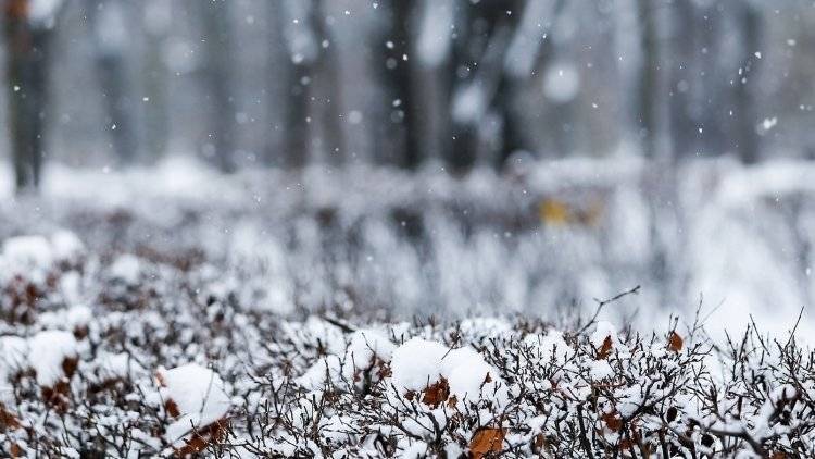Мокрый снег ожидается в Москве во вторник