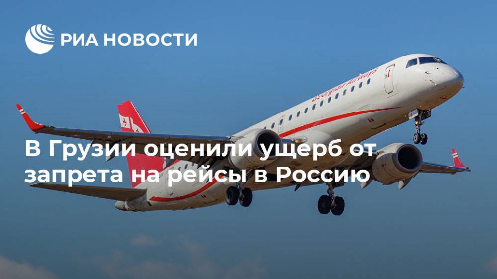В Грузии оценили ущерб от запрета на рейсы в Россию