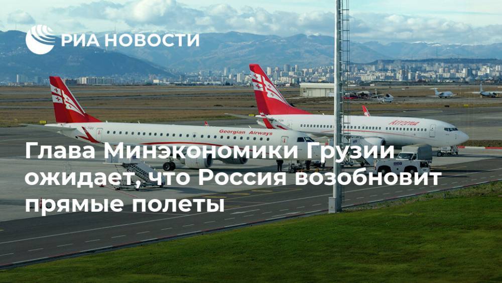 Глава Минэкономики Грузии ожидает, что Россия возобновит прямые полеты