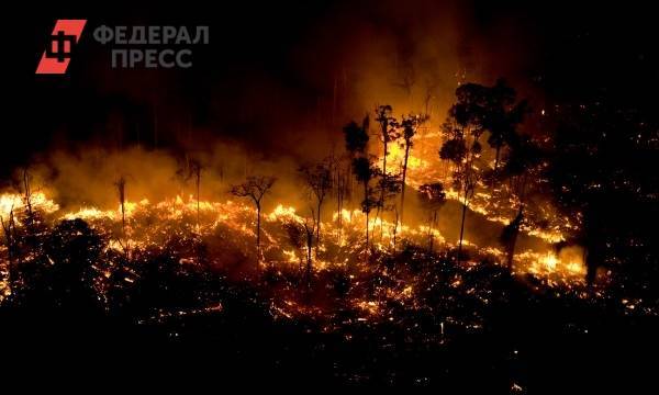 Лесные пожары в Тыве могут вспыхнуть в октябре