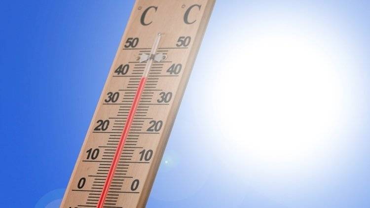 Сентябрь стал самым теплым в мире за всю историю наблюдений, сообщил Вильфанд
