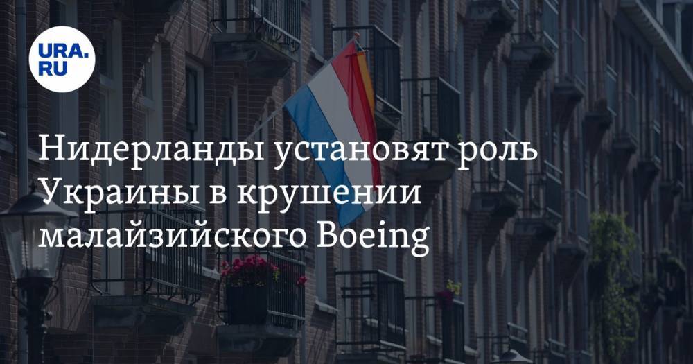 Нидерланды установят роль Украины в крушении малайзийского Boeing