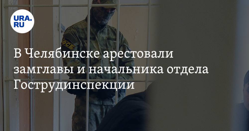 В Челябинске арестовали замглавы и начальника отдела Гострудинспекции