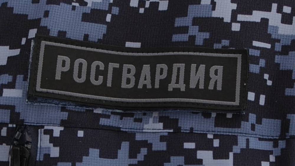 Петрозаводского дебошира задержали сотрудники Росгвардии