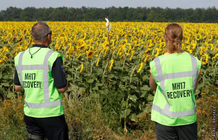 Парламент Нидерландов проголосовал за расследование роли Украины в крушении MH17