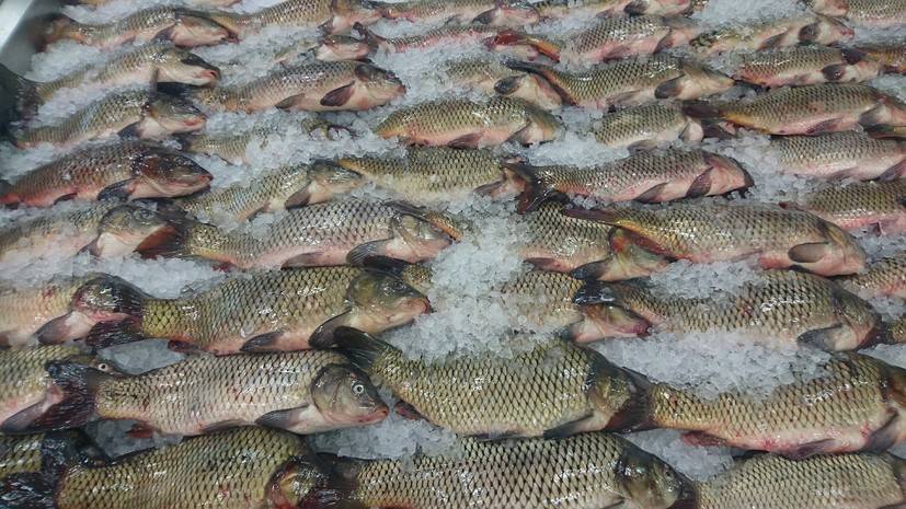 В Роскачестве дали рекомендации по покупке рыбы