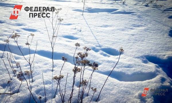Через неделю Сургут засыплет снегом