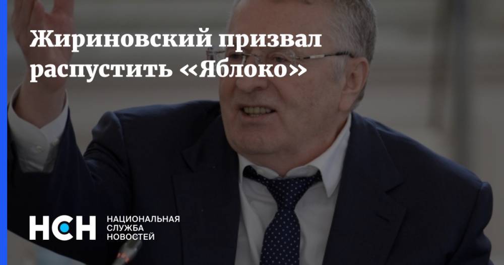 Жириновский призвал распустить «Яблоко»