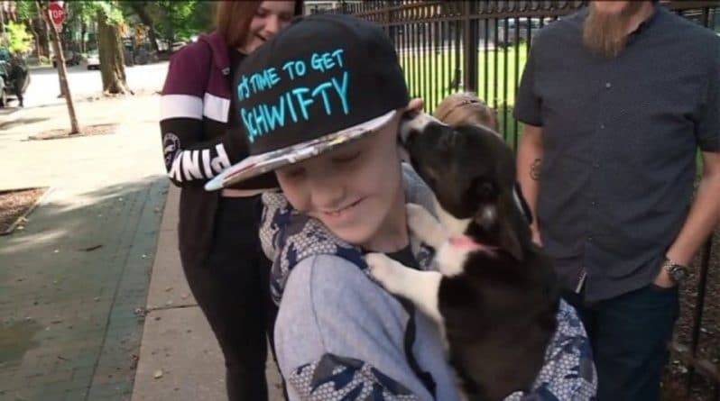 Мальчику, только через окно наблюдавшему за собаками во время сеансов химиотерапии, подарили щенка